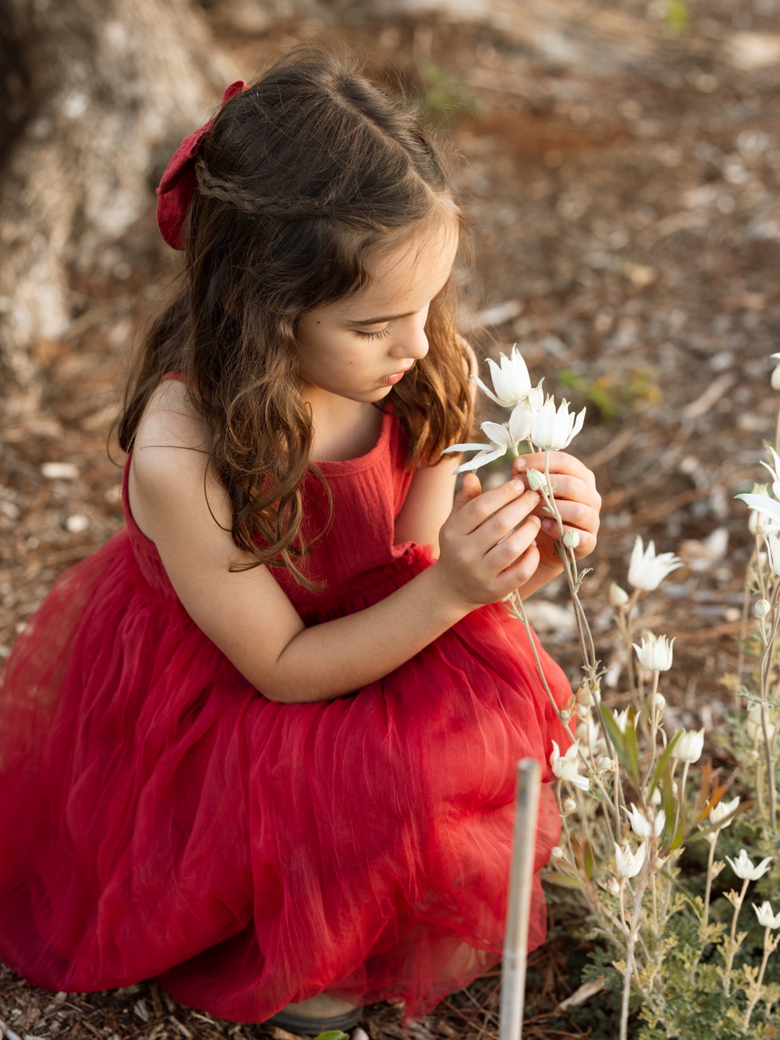 Valencia Tutu - Christmas Red