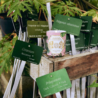 Carrière Frères Candle - Geranium