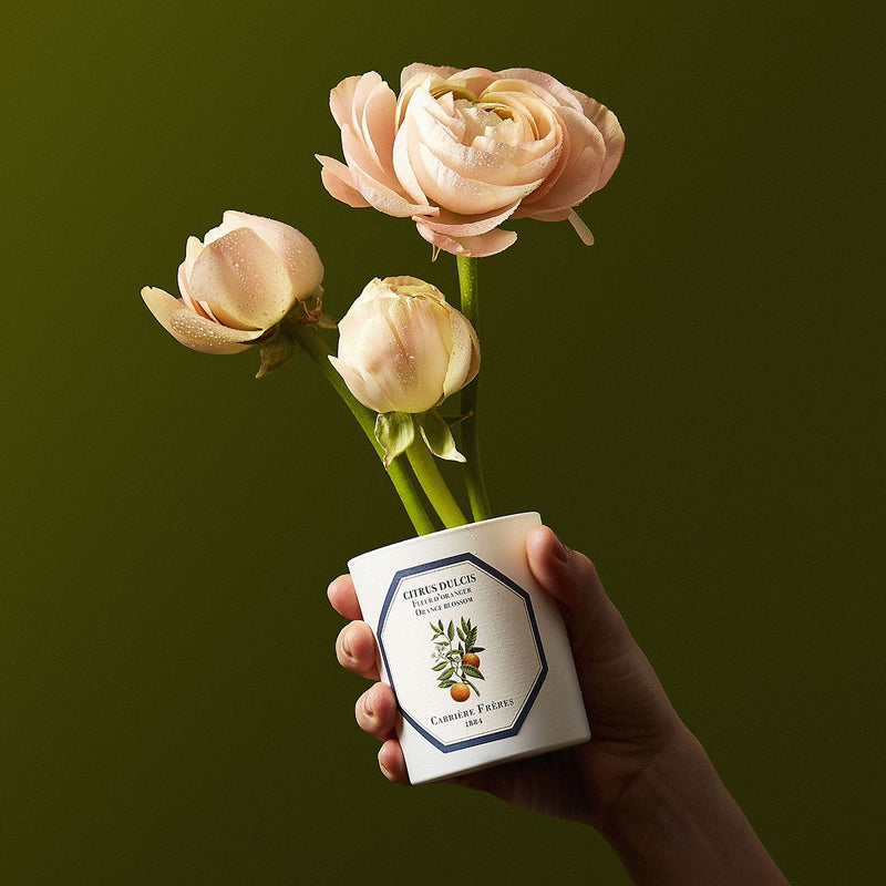 Carrière Frères Candle - Orange Blossom