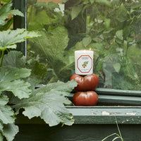 Carrière Frères Candle - Tomato
