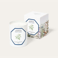 Carrière Frères Candle - Jasmine