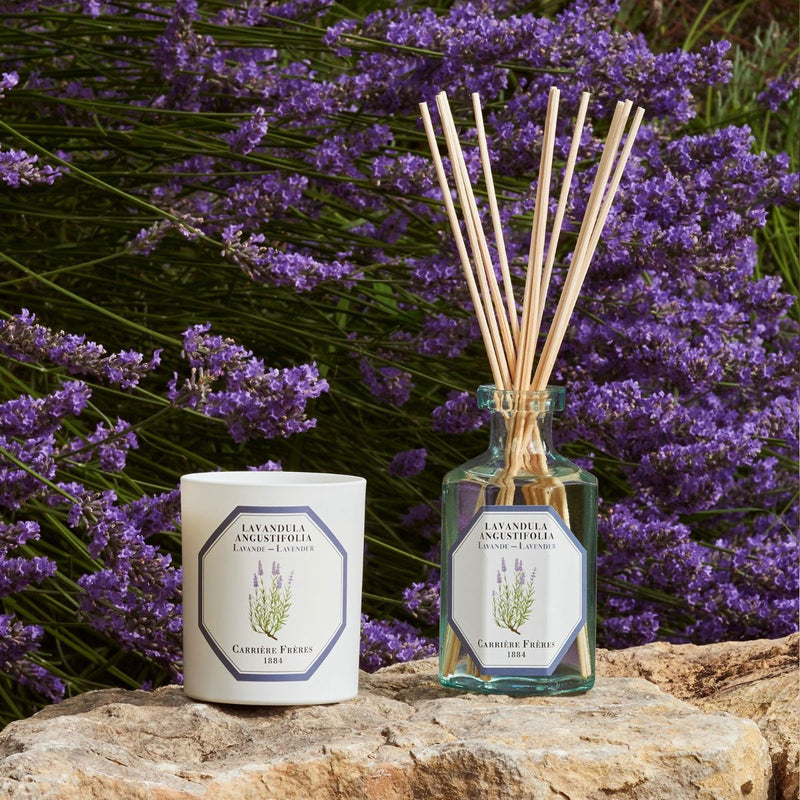 Carrière Frères Diffuser - Lavender