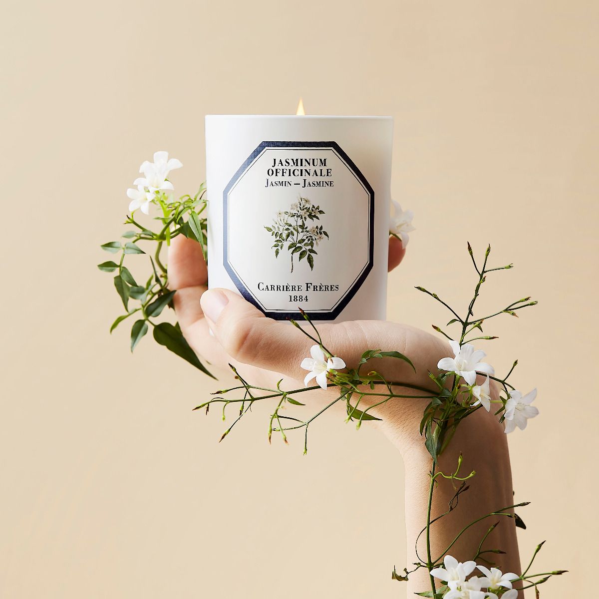 Carrière Frères Candle - Jasmine