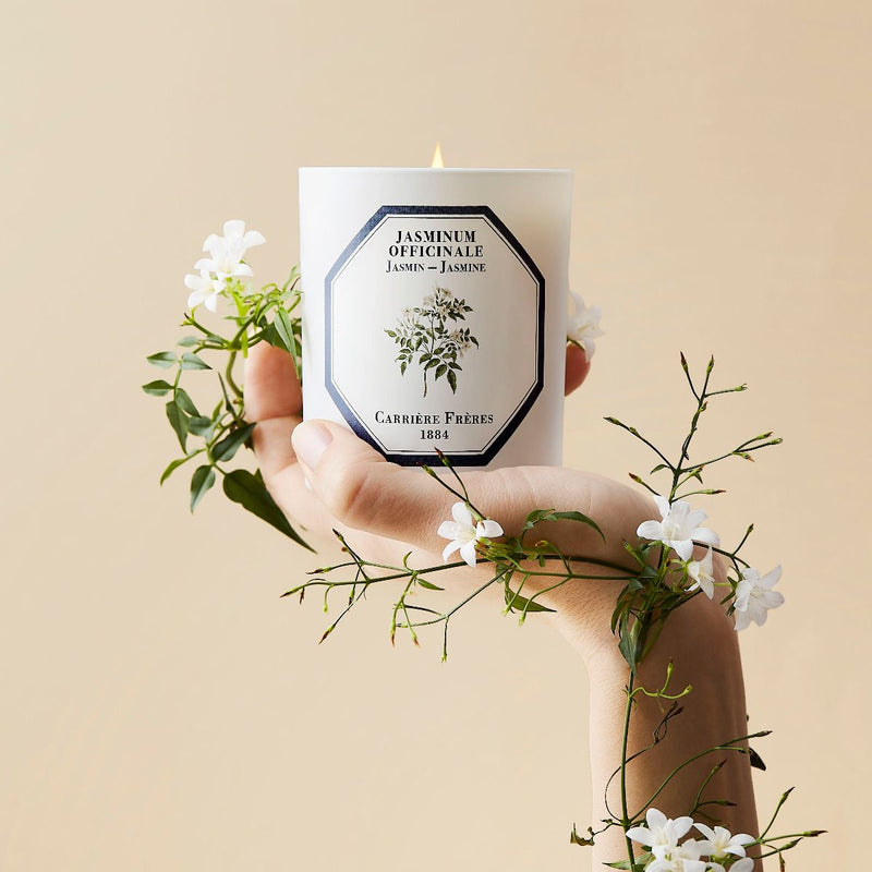Carrière Frères Candle - Jasmine