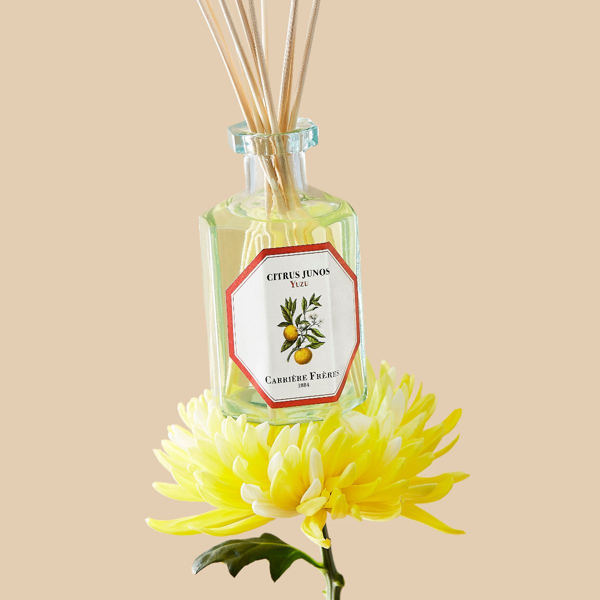 Carrière Frères Diffuser - Yuzu