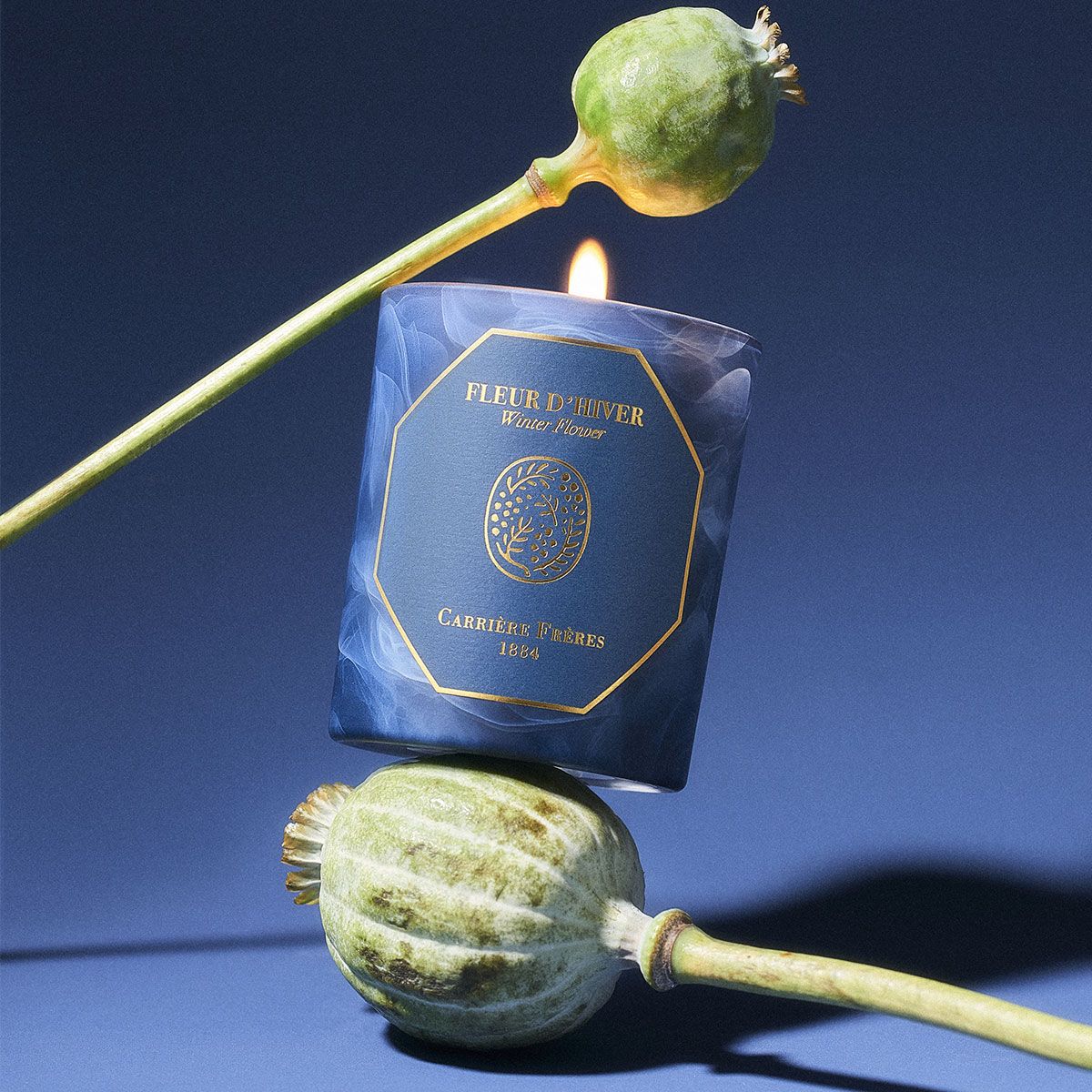 Carrière Frères Candle - Winter Flower