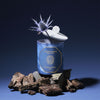 Carrière Frères Candle - Winter Flower