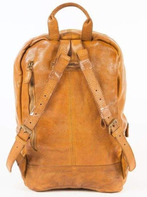 Indepal Chadwick Mens Backpack